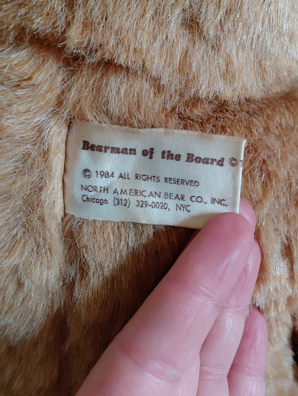 1984 'Bearman Of The Board' North American Bear Company Teddy Bear - Picture 4 of 10